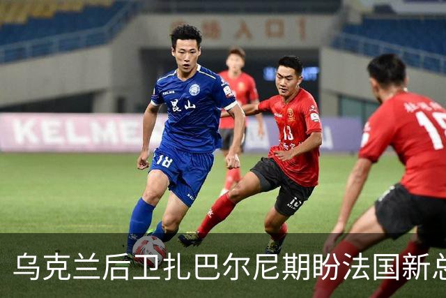 乌克兰后卫扎巴尔尼期盼法国新总统延续对乌政策